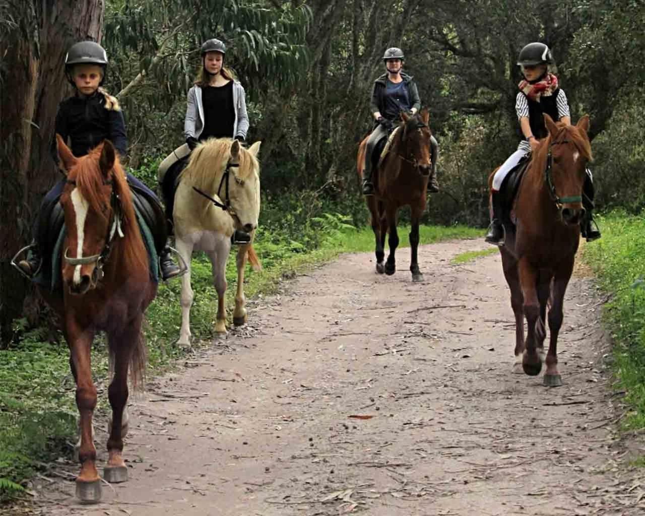 Quinta Pedagogica Da Samoqueirinha - Duna Parque Resorts & Hotels فيلا نوفا دو ميلفونتس المظهر الخارجي الصورة